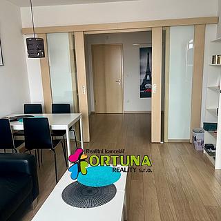 Pronájem bytu 2+1 60 m&sup2; Včelná