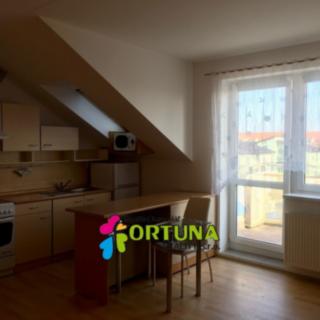 Pronájem bytu 1+kk, garsoniery 32 m² České Budějovice
