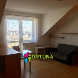Pronájem bytu 1+kk, garsoniery 32 m² České Budějovice