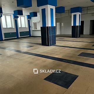 Pronájem skladu 151 m² Nelahozeves, Zagarolská