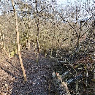 Prodej zahrady 207 m&sup2; Brno