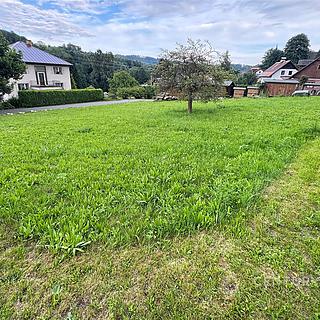 Prodej stavební parcely 852 m² Zlatá Olešnice