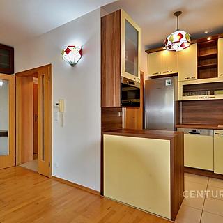 Pronájem bytu 3+kk 67 m² Praha