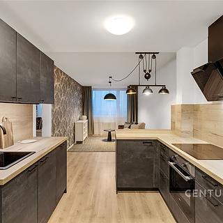 Pronájem bytu 2+kk 46 m² Praha Chodov, Čenětická