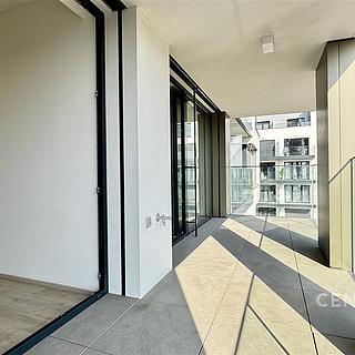 Pronájem bytu 2+kk 53 m² Praha Žižkov, Šrámkové