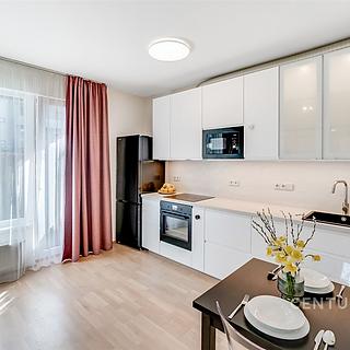 Pronájem bytu 1+kk a garsoniéry 33 m² Praha Hloubětín, Waltariho