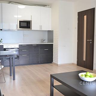 Pronájem bytu 2+kk 48 m² Praha