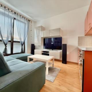 Prodej bytu 1+kk a garsoniéry 32 m² Brno Husovice, náměstí Republiky