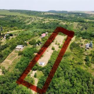Prodej zahrady 3 461 m² Dolní Kounice