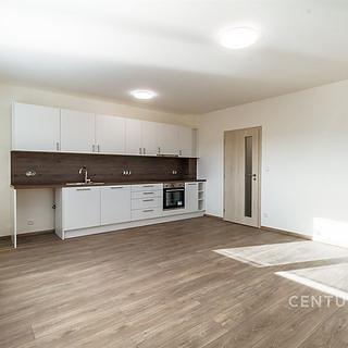Pronájem bytu 2+kk 47 m&sup2; Brandýsek
