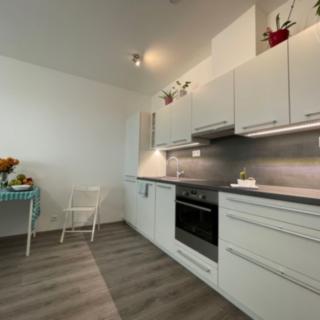 Pronájem bytu 1+kk a garsoniéry 41 m² Brno Černá Pole, Milady Horákové
