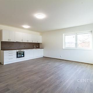 Pronájem bytu 1+kk, garsoniery 41 m² Brandýsek