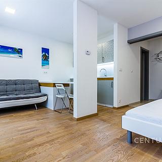 Pronájem bytu 1+kk a garsoniéry 32 m² Praha Smíchov, Bieblova