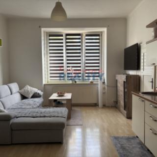Pronájem bytu 1+1 54 m² České Budějovice 6, M. Vydrové