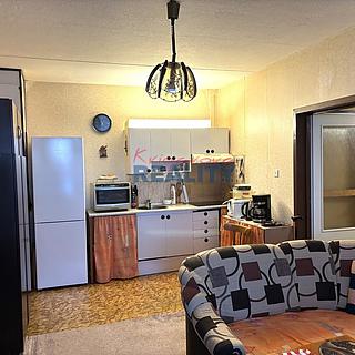 Prodej bytu 1+1 46 m² České Budějovice 2, Krčínova