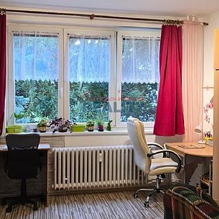 Pronájem bytu 2+1 65 m&sup2; České Budějovice