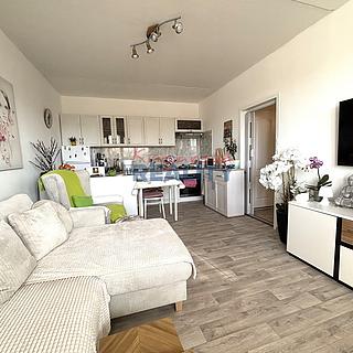 Prodej bytu 1+1 47 m² České Budějovice