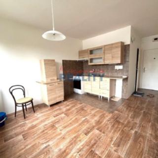 Pronájem bytu 1+1 37 m² České Budějovice