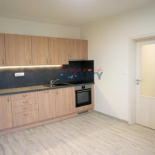 Pronájem bytu 2+kk 48 m² České Budějovice 2, Bezdrevská