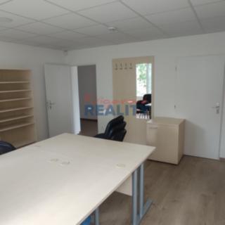 Pronájem kanceláře 35 m² Homole
