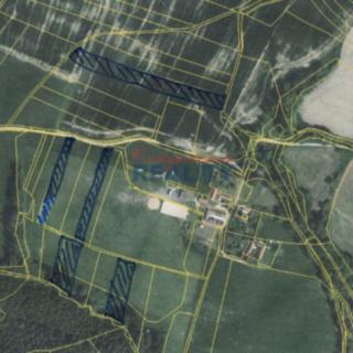 Prodej zemědělské půdy 14 160 m² Ledenice Zborov