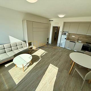 Pronájem bytu 1+kk a garsoniéry 30 m² Uherský Brod, U Mlýnů