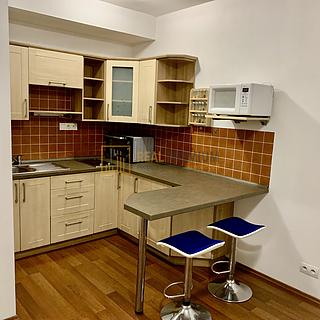 Pronájem bytu 1+kk a garsoniéry 30 m² Uherské Hradiště Mařatice, Slovácká