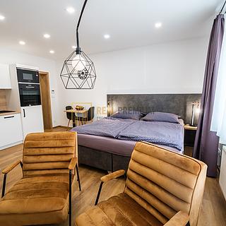 Pronájem bytu 1+kk a garsoniéry 40 m² Hluk, Hlavní