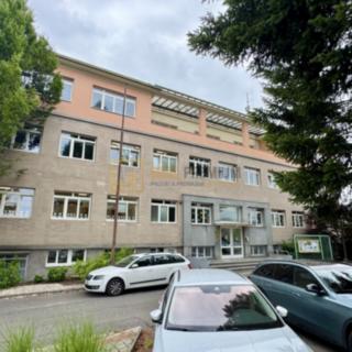 Pronájem kanceláře 60 m² Uherský Ostroh, Třebízského