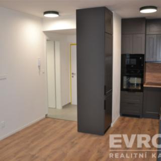 Pronájem bytu 1+kk a garsoniéry 33 m² Plzeň Východní Předměstí