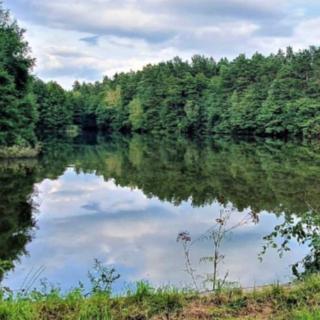 Prodej stavební parcely 190 159 m² Ralsko Hvězdov