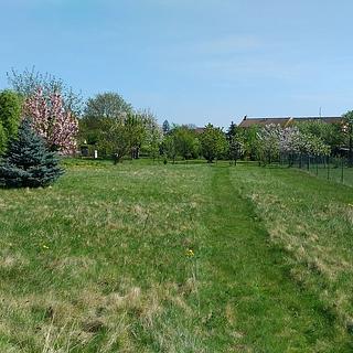 Prodej stavební parcely 1 350 m² Mikulovice, Sokolská