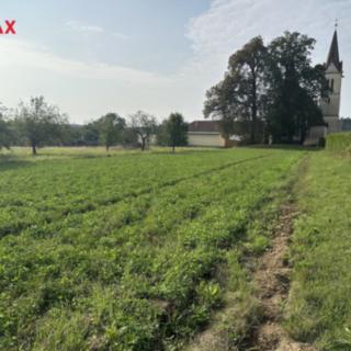 Prodej zahrady 2 567 m² Podivice
