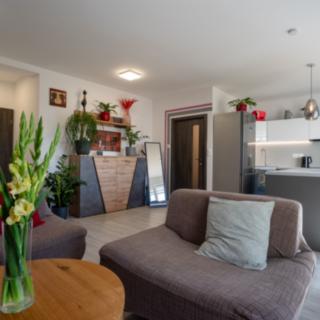 Prodej bytu 2+kk 66 m² Brno Dolní Heršpice, Vomáčkova