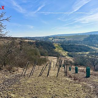 Prodej zahrady 1901 m&sup2; Kobeřice u Brna