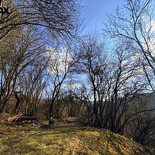 Prodej zahrady 589 m² Bílovice nad Svitavou