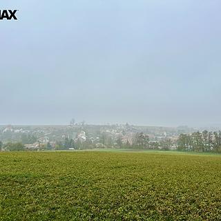 Prodej zemědělské půdy 1 089 m² Nížkovice