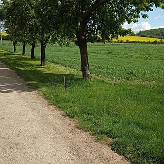 Prodej zemědělské půdy 32235 m&sup2; Drnovice