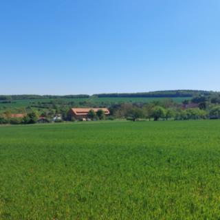 Prodej stavební parcely 9 286 m² Bučovice