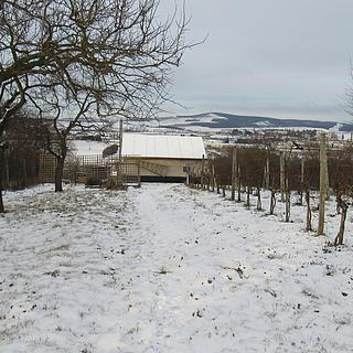 Prodej chaty 20 m² Kyjov