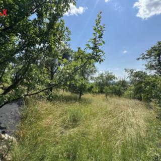 Prodej zahrady 539 m² Slavkov u Brna