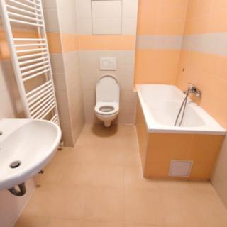 Pronájem bytu 2+kk 37 m² Rousínov, Kalouskova