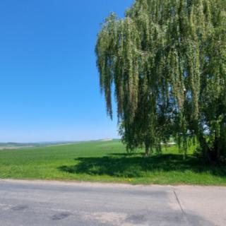 Prodej stavební parcely 9 286 m² Bučovice