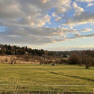 Prodej stavební parcely 1 191 m² Olšany