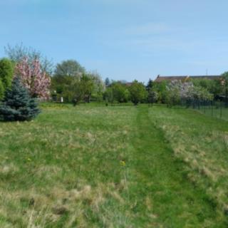 Prodej stavební parcely 1350 m² Mikulovice
