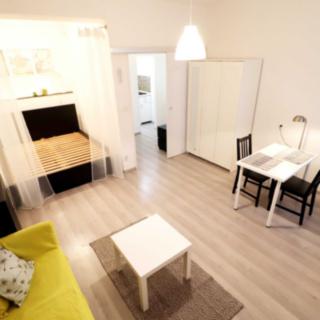 Pronájem bytu 1+kk a garsoniéry 29 m² Brno Veveří, Cihlářská