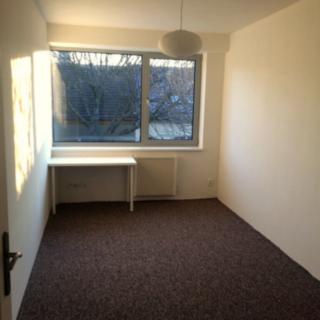 Pronájem pokoje 13 m² Brno
