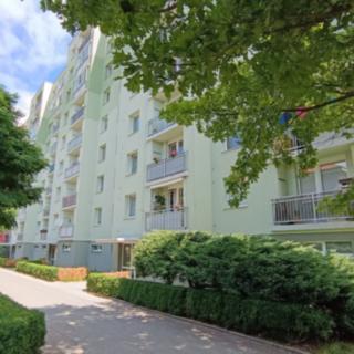 Prodej bytu 3+1 72 m² Dobruška, Orlická