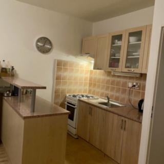 Prodej bytu 1+1 36 m² Liberec IV-Perštýn, Na Perštýně