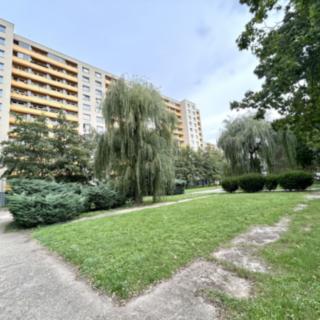 Prodej bytu 3+1 99 m² Hradec Králové Nový, třída Edvarda Beneše